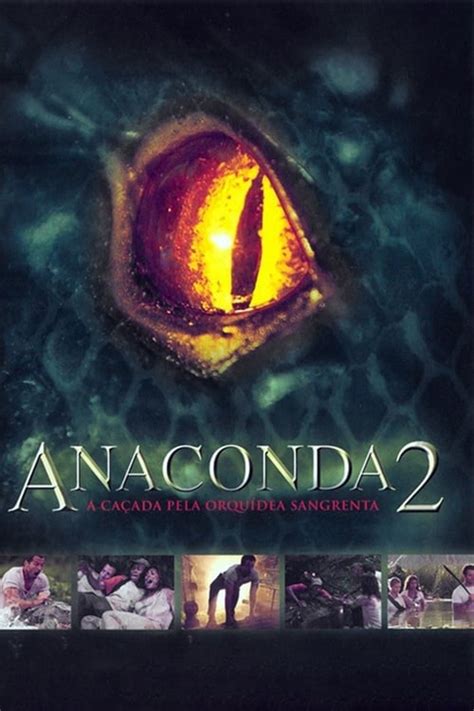 anaconda torrent|Downloads .